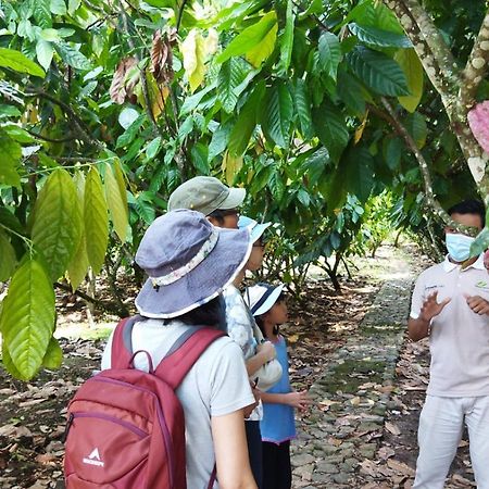 Banana Homestay Banyuwangi  Eksteriør bilde