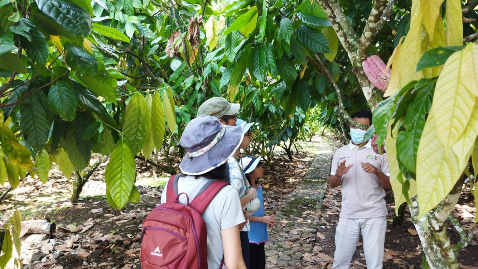 Banana Homestay Banyuwangi  Eksteriør bilde