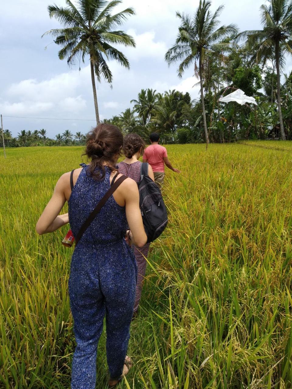 Banana Homestay Banyuwangi  Eksteriør bilde